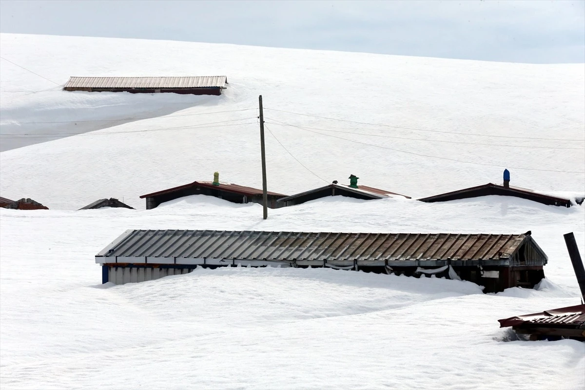 Ardahan'ın yayla evleri kar altında kaldı