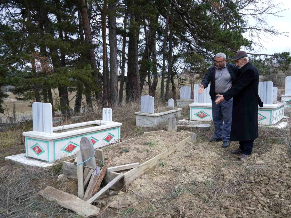 Kastamonu'da ayılar mezarlara dadandı! Vatandaşlar jiletli telle cenazelerini koruyor