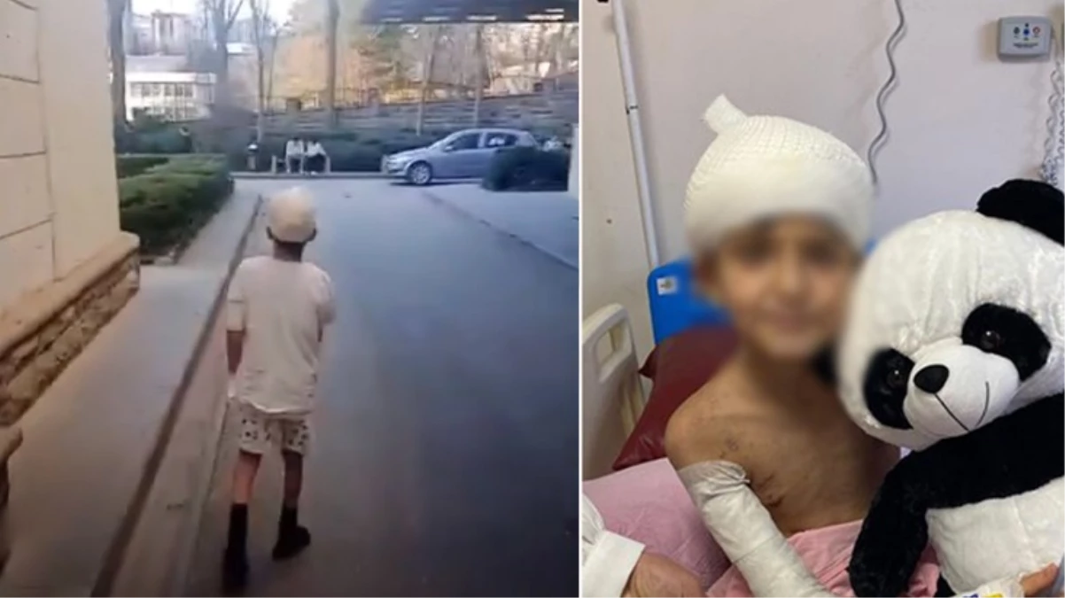 Köpeklerin saldırısında yaralanan Tunahan 3 ay sonra ilk defa hastane bahçesine çıktı