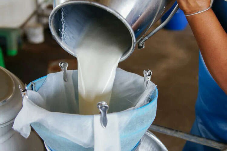 Çiğ süt üretimi azaldı!