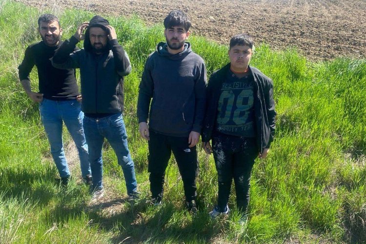 Edirne'de 4 göçmen yakalandı