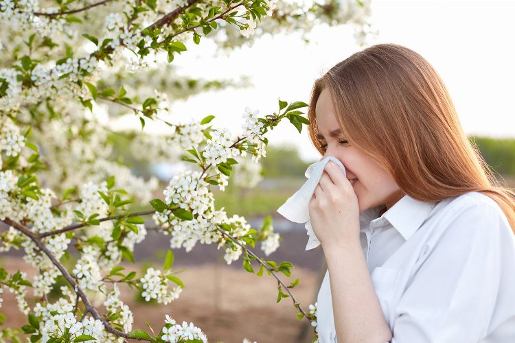 Gençleri daha çok etkiliyor... Bahar alerjisine dikkat!